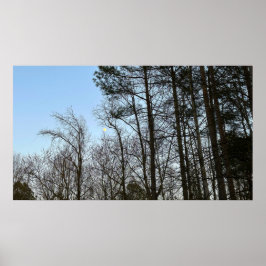 Tidigt Evening Måne Poster