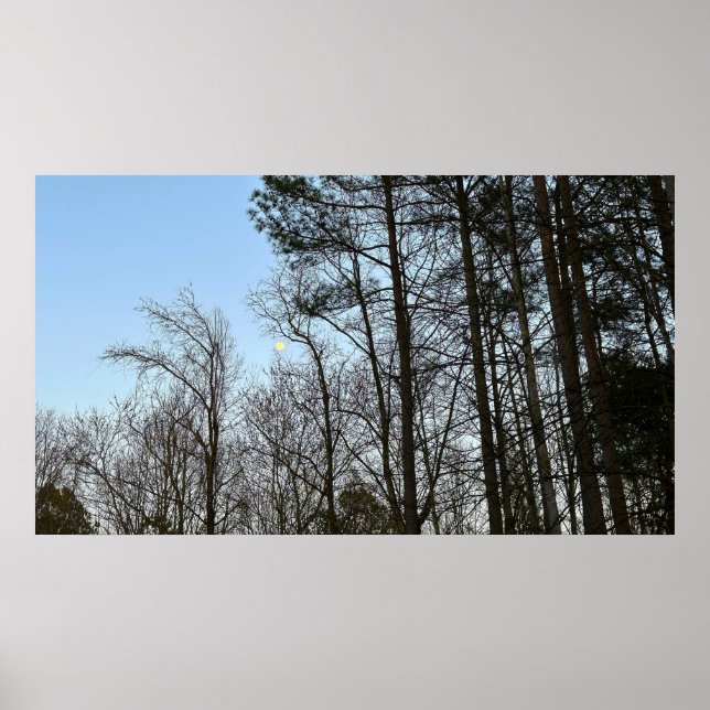 Tidigt Evening Måne Poster (Framsidan)