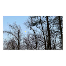 Tidigt Evening Måne