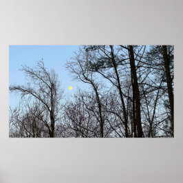 Tidigt Evening Måne Poster