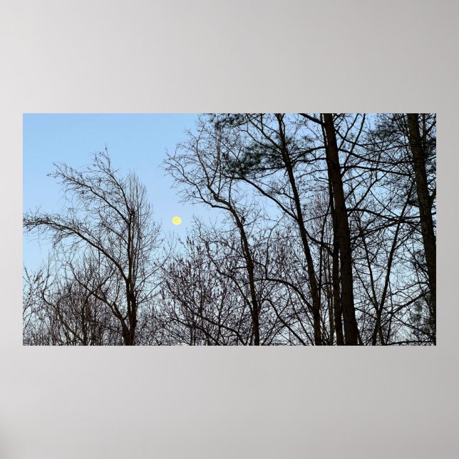 Tidigt Evening Måne Poster (Framsidan)