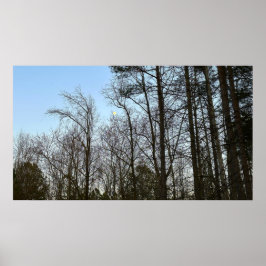 Tidigt Evening Måne Poster