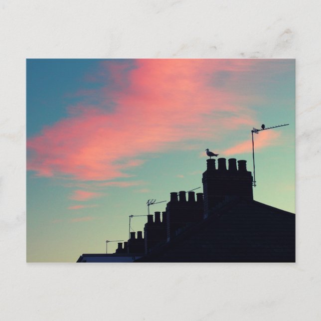 Tidigt fåglar vykort (Framsida)