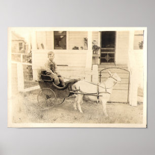 Tidigt-fotografier av barn, punkt 04 poster