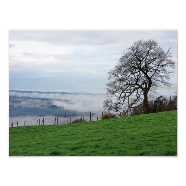 Tidigt God morgon Fog Fototryck (Framsidan)