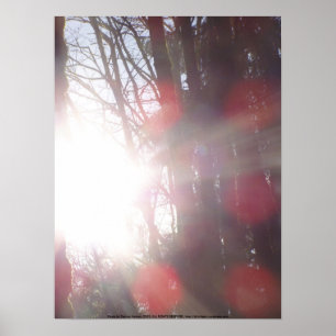 Tidigt God morgon Sol Rays nr 28 Poster