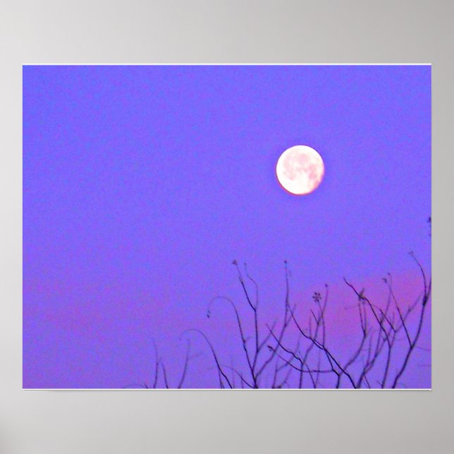 Tidigt God Vintersoluppgång Poster (Framsidan)