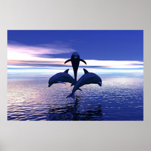 Tidigt Morgondelfiner Poster