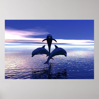 Tidigt Morgondelfiner Poster