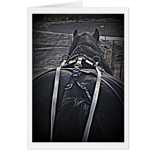 Tidigt Morgonenhet Hälsningskort (Framsidan)