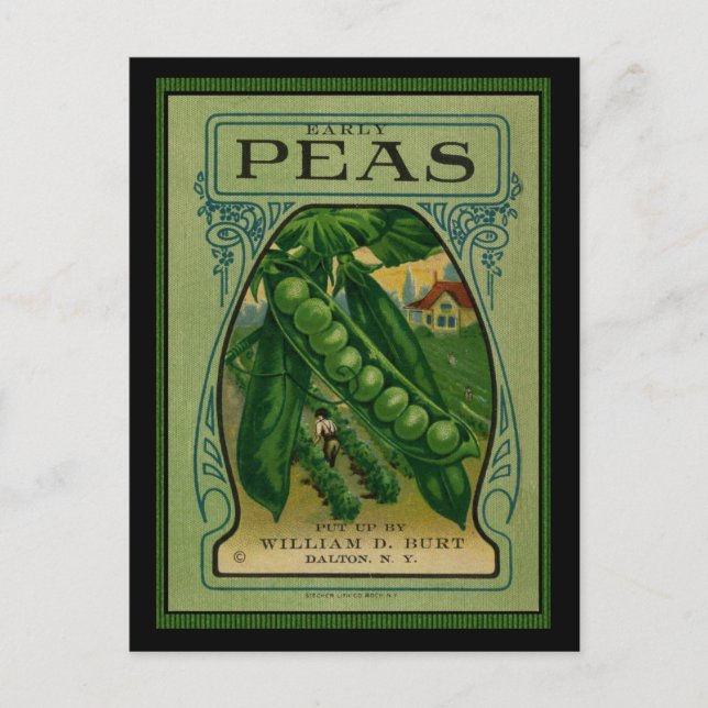 Tidigt Peas Vintage Seed Packet Vykort (Framsida)