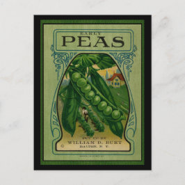 Tidigt Peas Vintage Seed Packet Vykort