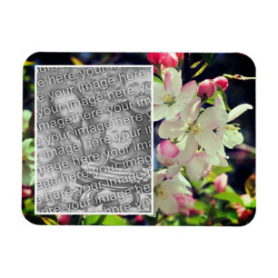 Tidigt Vår Blommar Ram lägger till foto Magnet
