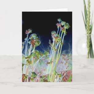 ’Tidigt Vår’ Digitalt Altered Fiddlehead Ferns Kort
