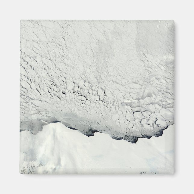 Tidigt vår i Antarktis Magnet (Framsidan)