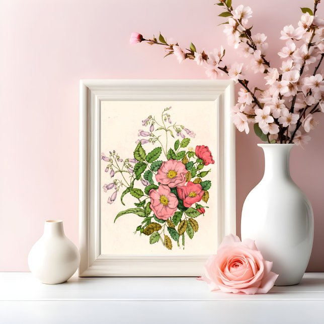 Tidigt Vild Ro, Pentstèmon Beard-Tunga (1868) Fototryck (Skapare uppladdad)