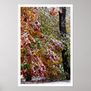 Tidigt Winter Poster