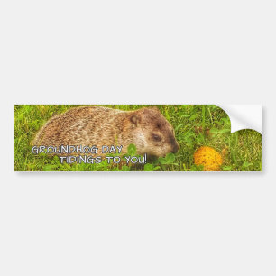 Tidings för Groundhog dag till dig! bildekal