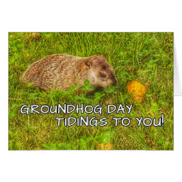 Tidings för Groundhog dag till dig! hälsningkort Hälsningskort