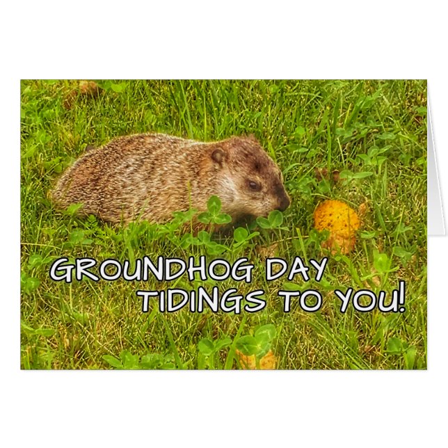 Tidings för Groundhog dag till dig! hälsningkort Hälsningskort (Framsidan Horizontal)