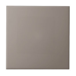 Tidlös - Beige Grått Keramic Tile Kakelplatta
