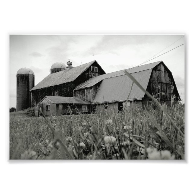 Tidlös Fototryck (Framsidan)