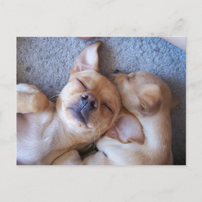 TIDPUNKT VYKORT (Framsida)