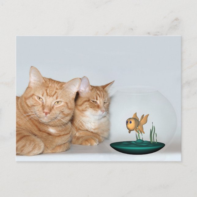 Tidsåtgång för delning vykort (Framsida)