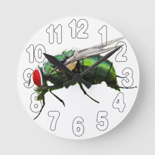 Tidsflykt Rund Klocka