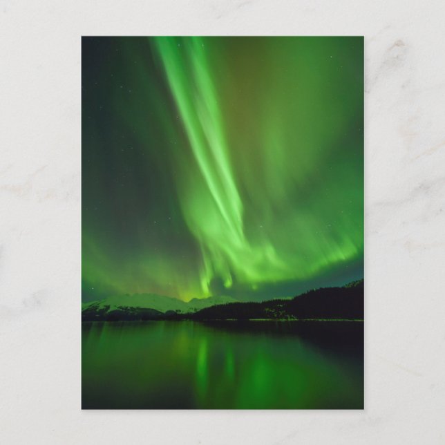 Tidsfri Aurora Vykort (Framsida)