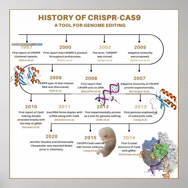 Tidslinje för CRISPR-historik Poster (Framsidan)