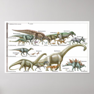 Tidslinje för dinosaurierna Jurassic Biologi Poster