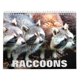 Tidsplan för Raccoons Wall Kalender