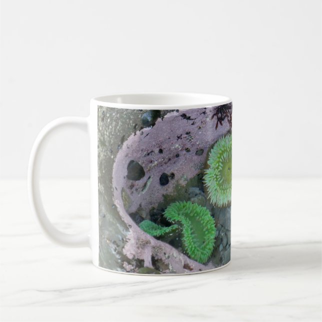 Tidvattenpöl i Pacific Northwest med gröna anemone Kaffemugg (Vänster)