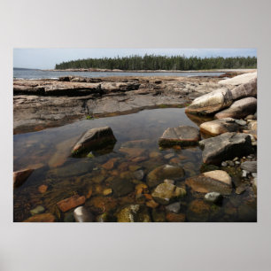 Tidvattenpöl vid Wonderland i Acadia National Park Poster