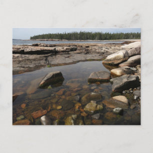 Tidvattenpöl vid Wonderland i Acadia National Park Vykort
