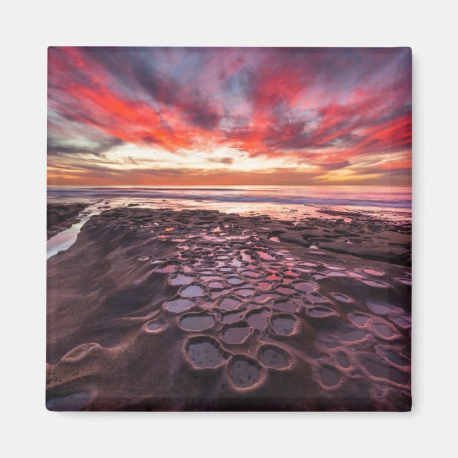 Tidvattenpölar i La Jolla, CA Magnet (Framsidan)