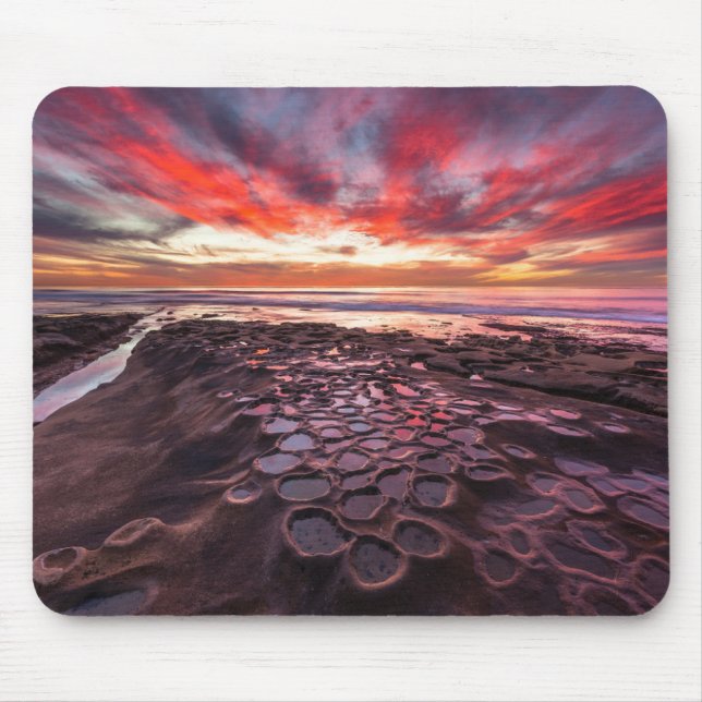 Tidvattenpölar i La Jolla, CA Musmatta (Framsidan)