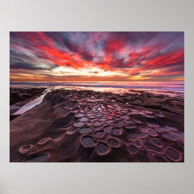 Tidvattenpölar i La Jolla, CA Poster (Framsidan)