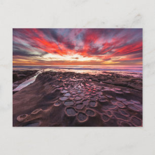 Tidvattenpölar i La Jolla, CA Vykort
