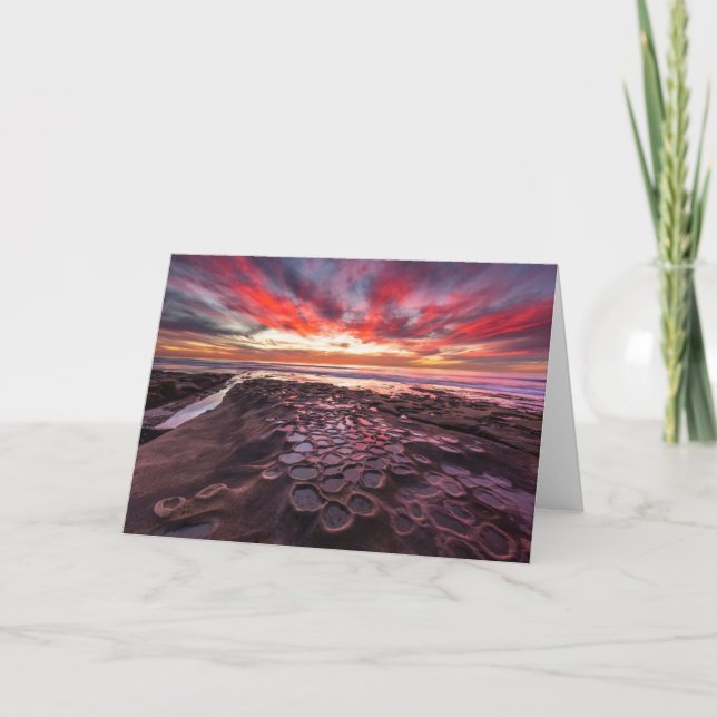 Tidvattenpussar i La Jolla, CA Kort (Framsida)