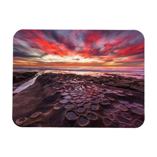 Tidvattenpussar i La Jolla, CA Magnet (Horisontell)