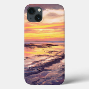 Tidvattenpussar vid Sunset Cliffs
