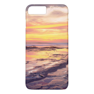 Tidvattenpussar vid Sunset Cliffs