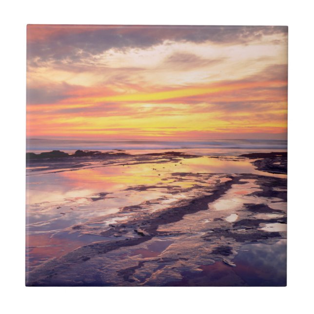 Tidvattenpussar vid Sunset Cliffs Kakelplatta (Framsidan)