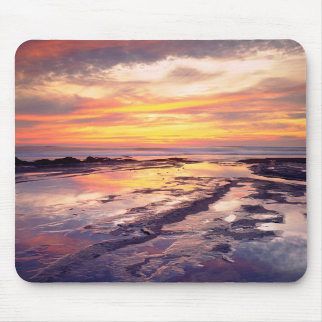 Tidvattenpussar vid Sunset Cliffs Musmatta (Framsidan)