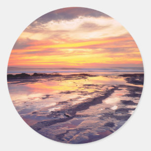 Tidvattenpussar vid Sunset Cliffs Runt Klistermärke