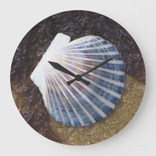 Tidvattens- bassäng stor klocka (Framsida)