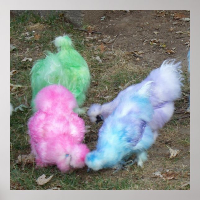 Tie Dyed Silkie Chickens i Pastel Påsk Färg Poster (Framsidan)