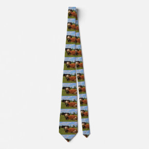 TIE för Kansas landkor Slips